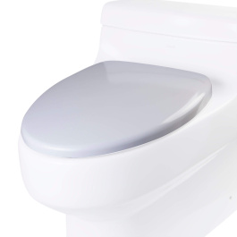 EAGO R-352SEAT Replacement Soft Closing Toilet Seat for TB352 view 2