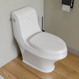 EAGO TB133 Single Flush One Piece Ceramic Toilet view 2