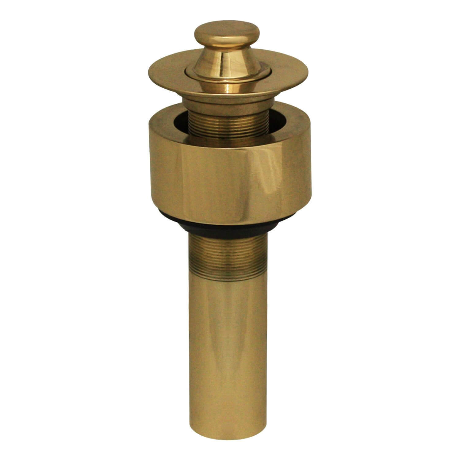Whitehaus 10.515-B Polished Brass Lift and Turn Pull-Up Bathroom Plug view 4