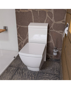 EAGO TB336 Modern One Piece High Efficiency Low Flush Eco Friendly Toilet