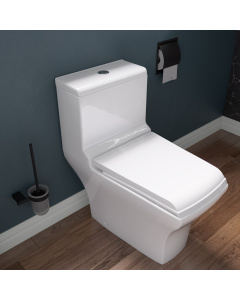 EAGO TB356 White Dual Flush  High Efficiency Low Flush Eco-Friendly Toilet